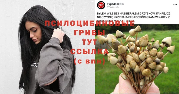 тгк Алексин