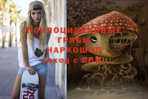 гидропоника Арсеньев